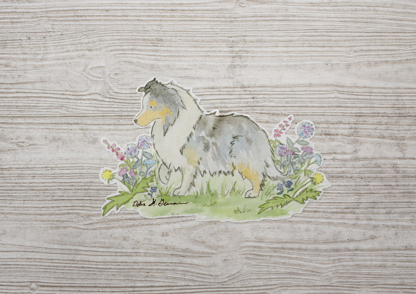 Blue Merle Shetland Sheepdog Vinyl Die Cut Sticker - Jasper and Ruby Art