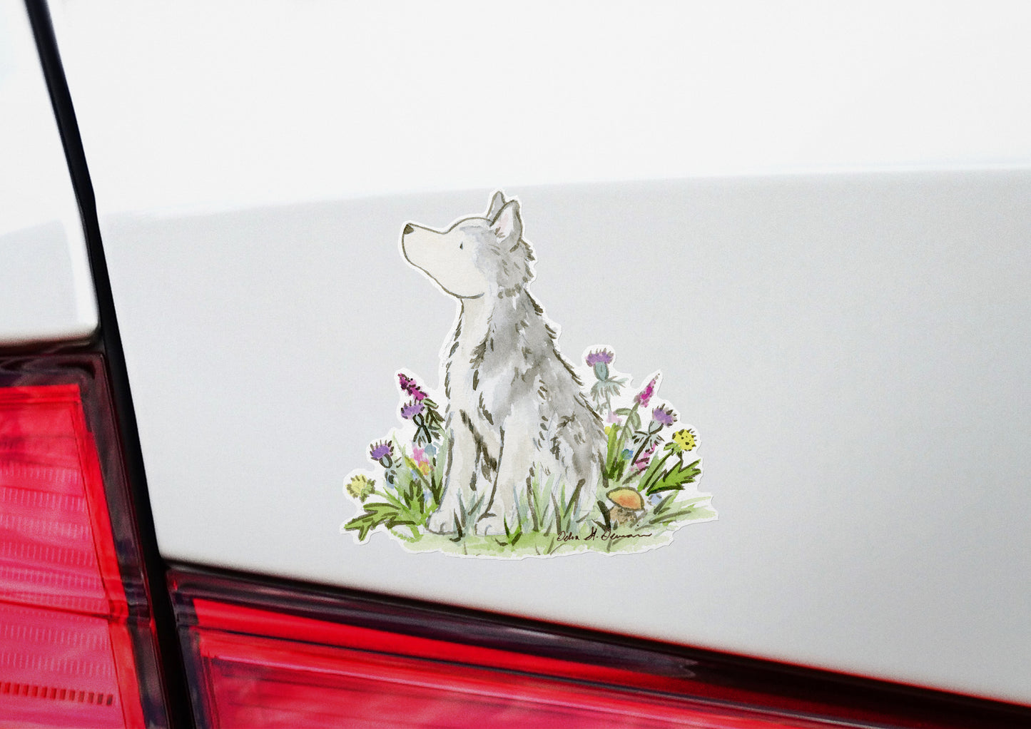 Husky decal on car bumper