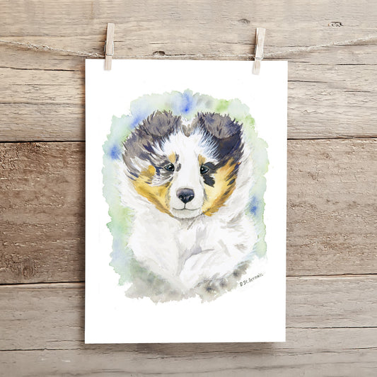 Blue Merle Sheltie Puppy Art, Shetland Sheepdog Watercolor Print, Cute Dog Art, Sheltie Gift