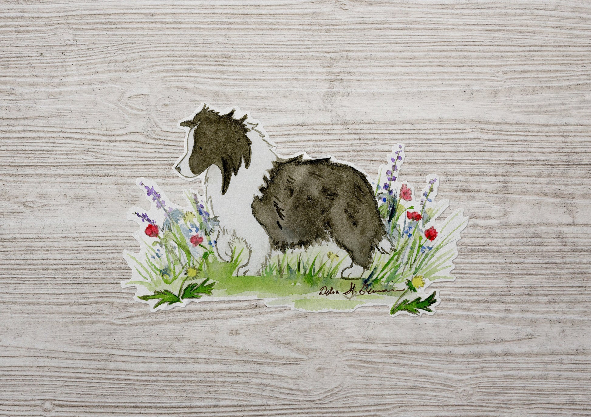 Shetland Sheepdog Sticker, Bi Black Sheltie Sticker, Die-Cut Decal, Vinyl Dog Sticker, Waterproof Sticker, Dog Lover Gift, Sheltie Gift