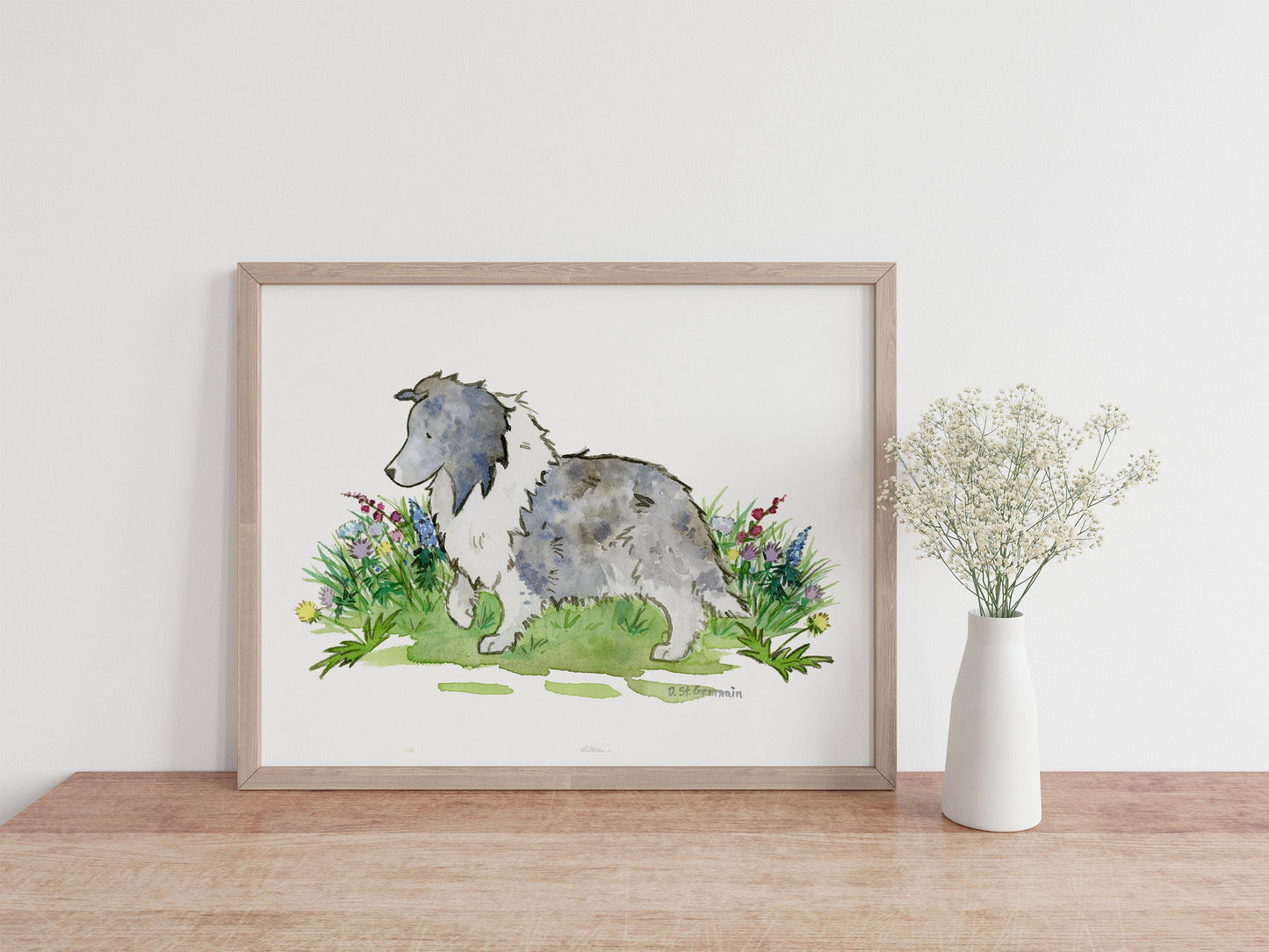 Bi Blue Sheltie Art, Watercolor Dog Print, Shetland Sheepdog Painting, Sheltie Gift