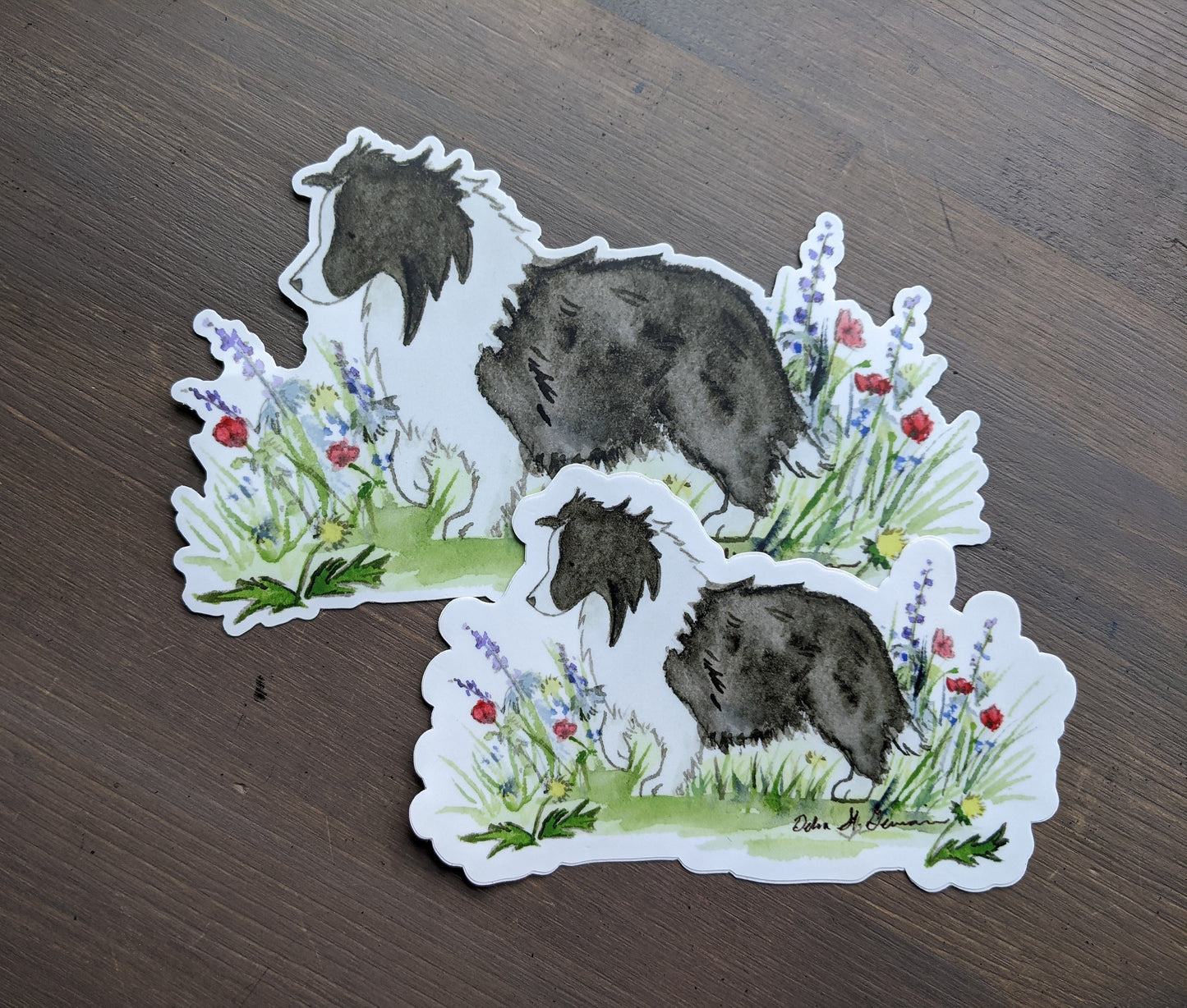 Shetland Sheepdog Sticker, Bi Black Sheltie Sticker, Die-Cut Decal, Vinyl Dog Sticker, Waterproof Sticker, Dog Lover Gift, Sheltie Gift